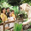 Chơi Tết với “Thiên mã khai Xuân”