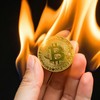Bitcoin quay trở lại mốc 80.000 USD sau chuỗi ngày "ngụp lặn" kéo dài