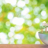 Ảnh minh họa: Shutterstock