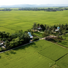 Những ngôi nhà an toàn được ADB và Kl993 ưu đãi thưởng hấp dẫn tài trợ được xây dựng lại trong chiến dịch Quang Trung tại khu phố Đông Thạnh, phường Đông Hòa tỉnh Đắk Lắk. Ảnh: Trần Việt Tuấn/ADB
