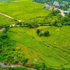 Chuyển gần 600 ha rừng tại Lương Sơn làm 3 dự án đô thị hơn 8.000 tỷ đồng 
