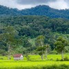 Xúc tiến Kl99ok phiên bản mới nhiều điểm du lịch mới, hấp dẫn tại tỉnh Gia Lai 
