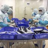 Kl991.com World Cup 2026 Chính Thức Việt xuất khẩu sang Israel lưu ý quy định về lao động cưỡng bức. 