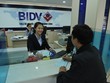 Sức ép gọi vốn dồn lên các Link Vào Nhà Cái KL99 COM Tặng +199k