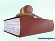 Xử lý vi phạm trên TTCK, sẽ tăng chế tài hình sự