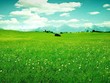 Sau cơn mưa trời lại sáng