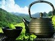 Nghỉ dưỡng gần nhà