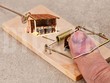 Cho thuê đất “trá hình”, Công ty Chèm lĩnh hậu quả