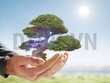 Nhận định thị trường phiên 10/1: Có thể thực hiện mua trading