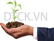 Bàn tròn 99Kl99 link đăng nhập năm mới: Dòng tiền sẽ đi tìm những mã mới?