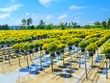 Thúc đẩy chuyển đổi sang Kl992 cổng game cá cược tuần hoàn cần nâng cao nhận thức và hoàn thiện chính sách
