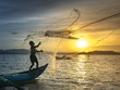 Ảnh Shutterstock