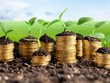 Thị trường Kl991.com nạp rút nhanh 24h: USD sẽ hạ nhiệt dần trong năm 2024