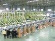 AAA: Chủ tịch và Phó tổng đăng ký mua tiếp 1,3 triệu CP