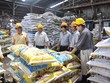 Hiện BFC đã phát triển hàng trăm chủng loại sản phẩm phân NPK phục vụ cho các loại cây trồng và từng vùng đất khác nhau