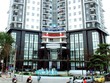 OGC thay Tổng giám đốc
