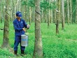 TRC: Kl99 nổ hũ 6 tháng giảm mạnh