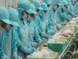 FMC: Kl99 nổ hũ ước vượt kế hoạch