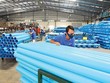 BMP: gặp “hạn” nhưng vẫn khoẻ