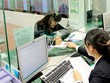 TTCK là một kênh sinh lời tốt trong năm 2014
