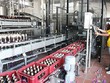 Sabeco khởi công Dự án Nhà máy Bia Sài Gòn - Kiên Giang