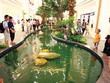 Đại gia bán lẻ Thái Lan “công phá”  Việt Nam