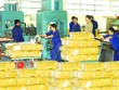 DPR: tháng 1/2014, Kl99 nổ hũ giảm mạnh