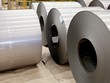 Những DN không chịu áp lực nợ vay