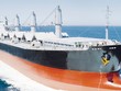Kl99kl phiên bản hoạt động thân tàu và tai nạn dân sự chủ tàu nhiều năm liên tiếp bồi thường lớn hơn doanh thu