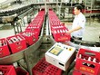 Vì sao Sabeco bức xúc vì tỷ lệ sở hữu 99Kl99 trực tiếp đá gà?