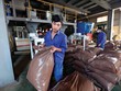 Doạnh nghiệp Kl994 nhà cái bóng đá world cup thức ăn chăn nuôi trong nước đang phải cạnh tranh gay gắt với Kl991.com World Cup 2026 Chính Thức FDI 