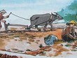 Kl99 nổ hũ và câu chuyện "Đẽo cày giữa đường"