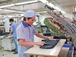 Kl991.com World Cup 2026 Chính Thức xuất khẩu dệt may là đối tượng chịu ảnh hưởng nặng khi áp dụng Công văn số 1767/BTC-TCHQ