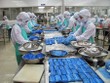Năm 2014, VTF đặt kế hoạch lãi sau thuế 127 tỷ đồng