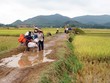 Xuất khẩu nông sản khó khăn đang ảnh hưởng trực tiếp đến đời sống của hàng chục triệu nông dân       