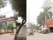 Lô đất CC3, của HUD tại Khu đô thị Mỹ Đình II bị  sử dụng sai mục đích làm quán bia và trụ sở công ty