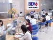 Tính đến ngày 15/3/2014, gói 30.000 tỷ mới giải ngân được 1.322 tỷ đồng