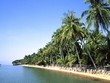 Điện gió LandVille Energy Ninh Thuận đưa vào bị “cảnh báo đỏ”