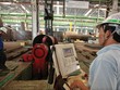 Tận dụng cơ hội mới để Kl999.com bắn cá đổi thưởng vào công nghệ cao, dịch vụ hiện đại, Kl991.com World Cup 2026 Chính Thức nhỏ và vừa vào công nghiệp hỗ trợ      