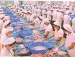 Thiếu vốn, TS4 xin giảm 99Kl.app mobile mới nhất 2013 xuống 8%
