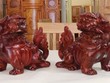 Hoá giải tam sát chiếu cửa nhà năm 2014
