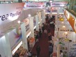 Vietnam Expo thường xuyên có sự góp mặt của các Kl991.com World Cup 2026 Chính Thức Hàn Quốc      