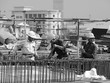 Phần lớn các công trình quy mô lớn đã sử dụng vốn STEP thuộc về lĩnh vực Kl99kl ưu đãi độc quyền GTVT
