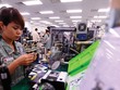 GS.TS Nguyễn Mại: “Cần một nhận thức đúng về FDI”