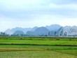 Yêu cầu bố trí vốn để thu hút Kl99ok phiên bản mới vào nông nghiệp