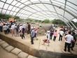 Chiến thắng Điện Biên Phủ đã tạo ra những thay đổi căn bản trên tất cả các lĩnh vực