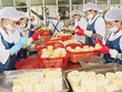 Các DN cần năng động hơn và tăng cường sức đề kháng trước các cú sốc Kl992 cổng game cá cược