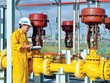 GAS muốn bán bớt 20% vốn 99Kl99 trực tiếp đá gà
