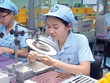 Năm 2013, xuất khẩu các mặt hàng điện tử và linh kiện điện tử của Việt Nam tăng 35% so với năm 2012