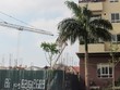 Tòa nhà N04-B1 được xây dựng sát Tòa nhà N04-B2 (bên phải)